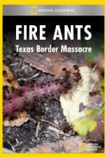 Watch National Geographic Fire Ants: Texas Border Massacre Vodlocker