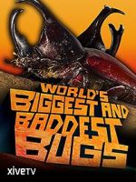 Watch World\'s Biggest and Baddest Bugs Vodlocker