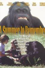 Watch A Summer to Remember Vodlocker
