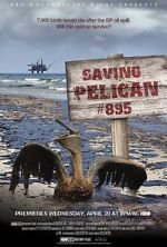 Watch Saving Pelican 895 (Short 2011) Vodlocker