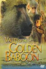 Watch National Geographic Golden Baboons Vodlocker