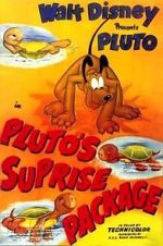 Watch Pluto\'s Surprise Package Vodlocker