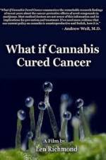 Watch What If Cannabis Cured Cancer Vodlocker