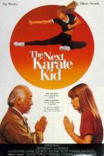 Watch The Next Karate Kid Vodlocker