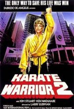 Watch Karate Warrior 2 Vodlocker