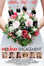 Watch Holiday Engagement Vodlocker