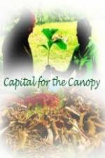 Watch Capital for the Canopy Vodlocker
