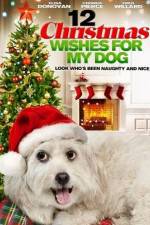 Watch 12 Christmas Wishes For My Dog Vodlocker