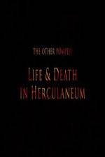 Watch The Other Pompeii Life & Death in Herculaneum Vodlocker