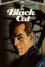 Watch The Black Cat Vodlocker