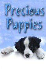 Watch Precious Puppies Vodlocker
