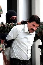 Watch The Rise and Fall of El Chapo Vodlocker