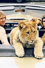 Watch The Lion Cub from Harrods Vodlocker
