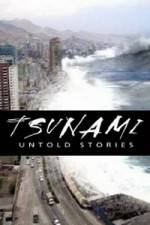 Watch Tsunami: Untold Stories Vodlocker