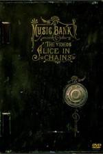 Watch Alice in Chains Music Bank - The Videos Vodlocker