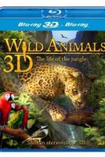Watch Wild Animals - The Life of the Jungle 3D Vodlocker