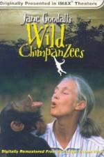Watch Jane Goodall's Wild Chimpanzees Vodlocker