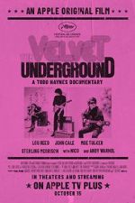 Watch The Velvet Underground Vodlocker