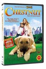 Watch Chestnut - Hero of Central Park Vodlocker