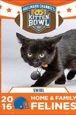 Watch Kitten Bowl III Vodlocker
