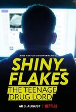 Watch Shiny_Flakes: The Teenage Drug Lord Vodlocker
