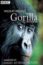 Watch Gorilla Revisited with David Attenborough Vodlocker