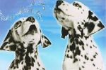 Watch 101 Dalmatians Sing Along Vodlocker