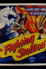 Watch The Fighting Stallion Vodlocker