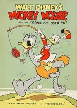 Watch Donald\'s Ostrich (Short 1937) Vodlocker