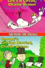 Watch Snoopy's Getting Married Charlie Brown Vodlocker