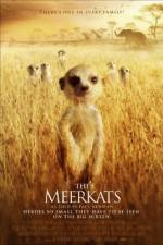 Watch The Meerkats Vodlocker
