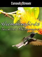 Watch Hummingbirds Jewelled Messengers Vodlocker