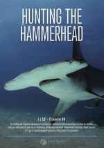 Watch Hunting the Hammerhead Vodlocker