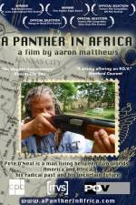Watch A Panther in Africa Vodlocker