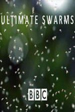 Watch Ultimate Swarms Vodlocker