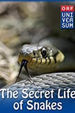 Watch The Secret Life of Snakes Vodlocker