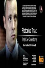Watch Pistorius Trial: The Key Questions Vodlocker