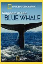 Watch National Geographic Kingdom of Blue Whale Vodlocker