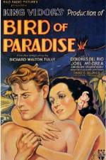 Watch Bird of Paradise Vodlocker