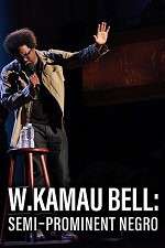 Watch W. Kamau Bell: Semi-Promenint Negro Vodlocker