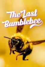 Watch The Last Bumblebee Vodlocker