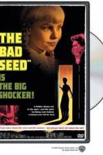 Watch The Bad Seed Vodlocker