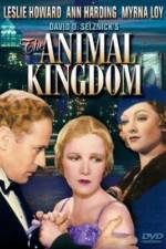 Watch The Animal Kingdom Movie2k