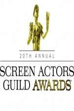 Watch The 20th Annual Screen Actors Guild Awards Vodlocker