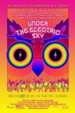 Watch EDC 2013: Under the Electric Sky Vodlocker