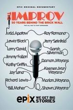 Watch The Improv: 50 Years Behind the Brick Wall (TV Special 2013) Vodlocker
