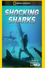Watch Shocking Sharks Vodlocker