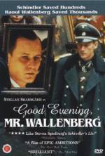Watch Good Evening, Mr. Wallenberg Online Vodlocker