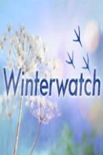 Watch Winterwatch Vodlocker