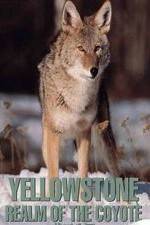 Watch Yellowstone: Realm of the Coyote Vodlocker